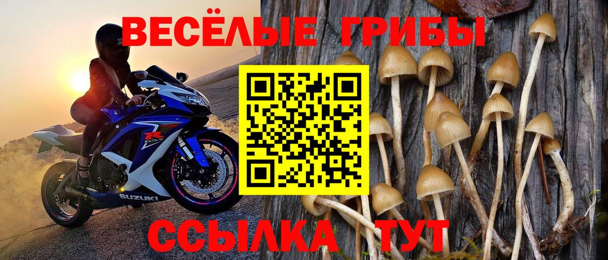 Каспийск  Галлюциногенные грибы Psilocybe  Вход с VPN  Галлюциногенные грибы ЛСД 